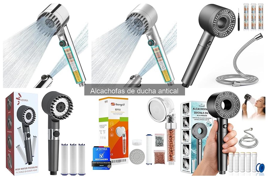 Alcachofas de ducha antical recomendadas para familias con niños