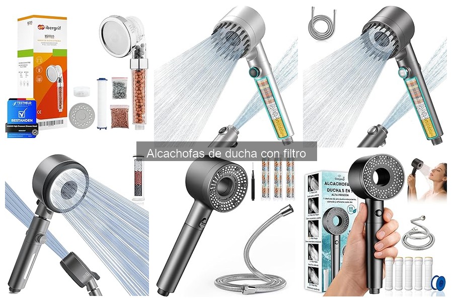 Alternativas a las Alcachofas de Ducha con Filtro