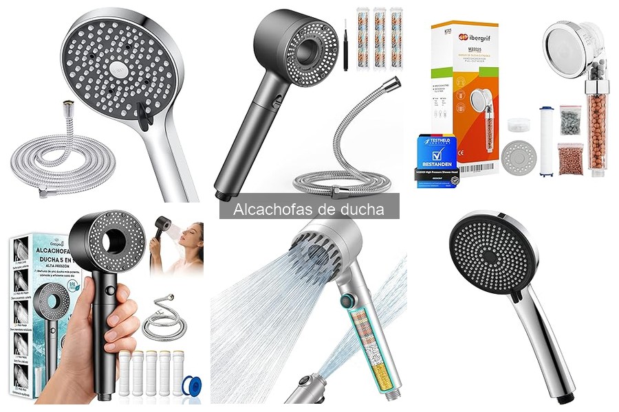 Alternativas a las Alcachofas de Ducha Tradicionales