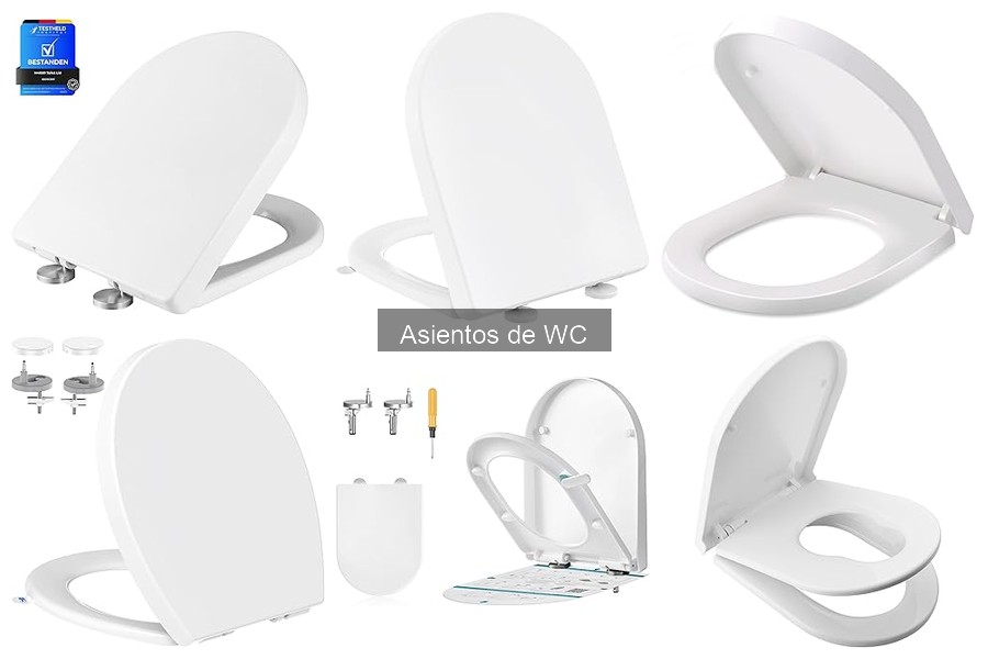 Asientos de WC Fáciles de Limpiar: Mejores Opciones 2023