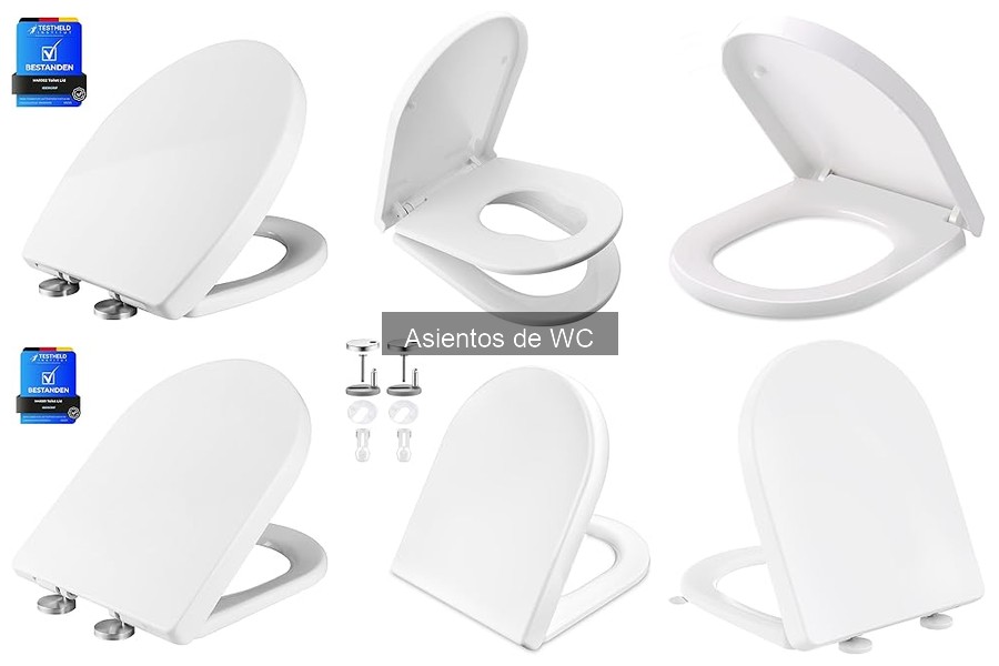 Beneficios del Asiento de WC con Cierre Suave - Mejor Comodidad