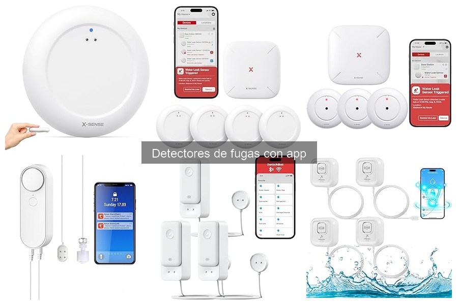 Cómo elegir el mejor detector de fugas con app