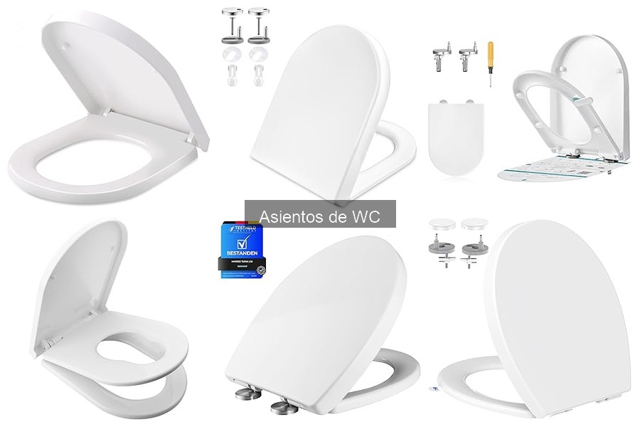 Cómo Instalar un Asiento de WC: Guía Paso a Paso