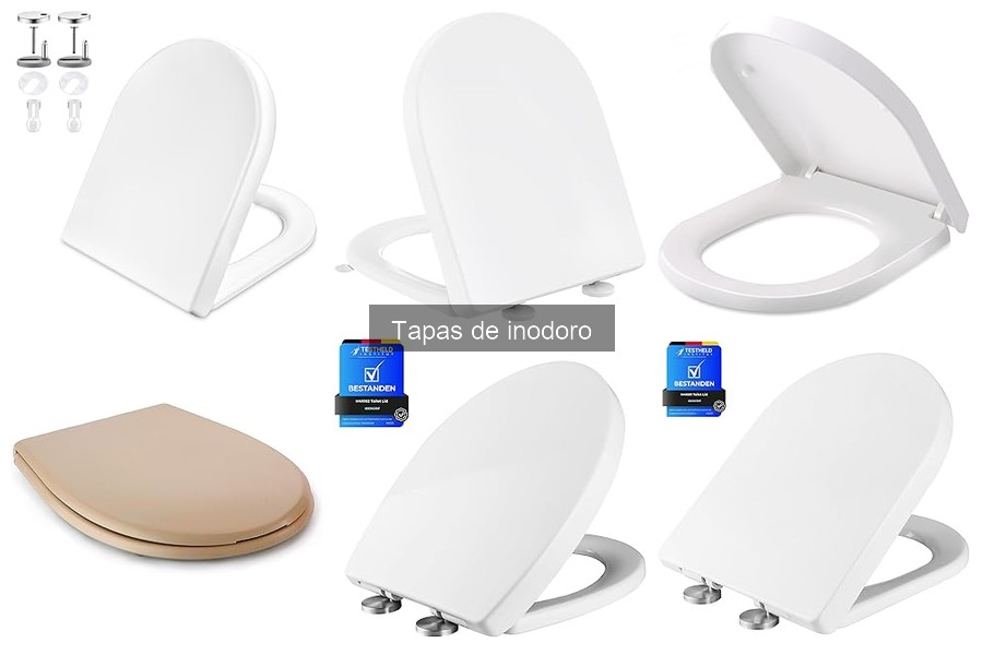 Cómo limpiar y mantener una tapa de inodoro correctamente
