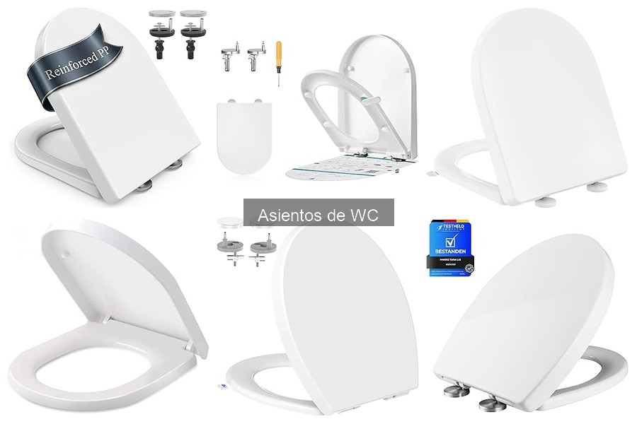 ¿Cuánto cuesta un asiento de WC? Precios y ofertas