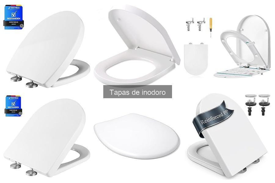 ¿Cuánto cuesta una tapa de inodoro? Precios y más