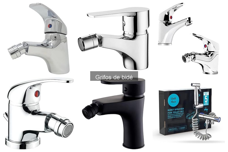 Grifos de bidé con ahorro de agua: características especiales