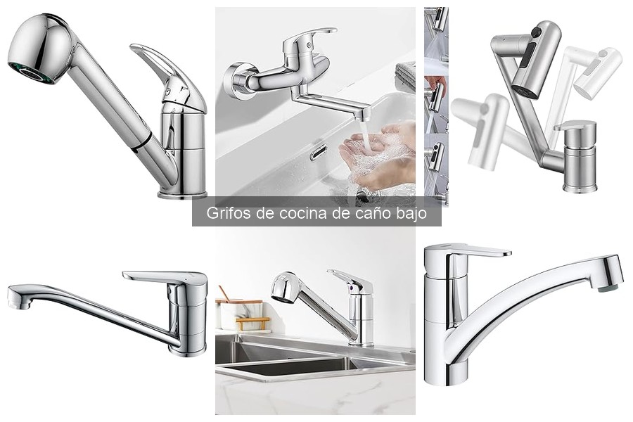 Grifos de cocina de caño bajo con funciones especiales