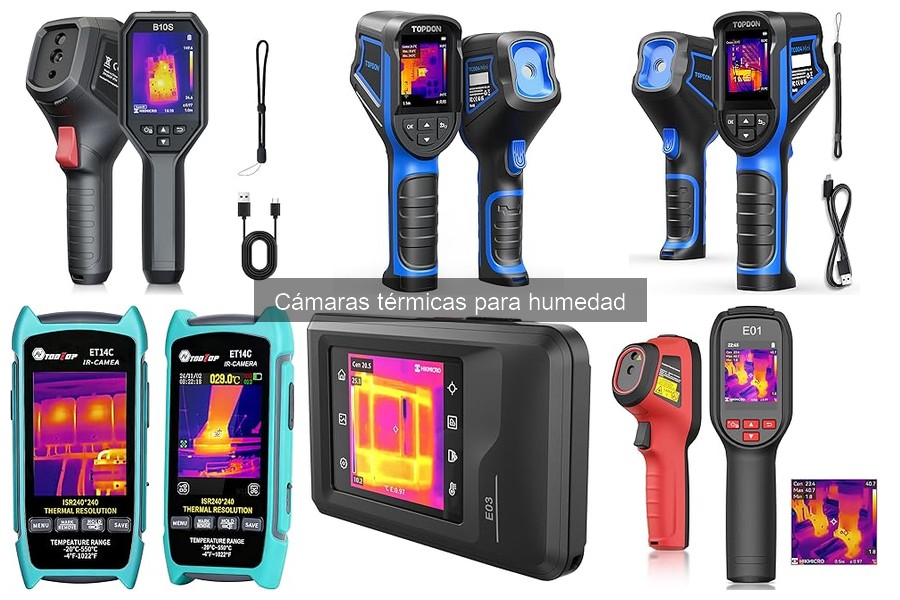 Guía de compra: Cámaras térmicas para humedad