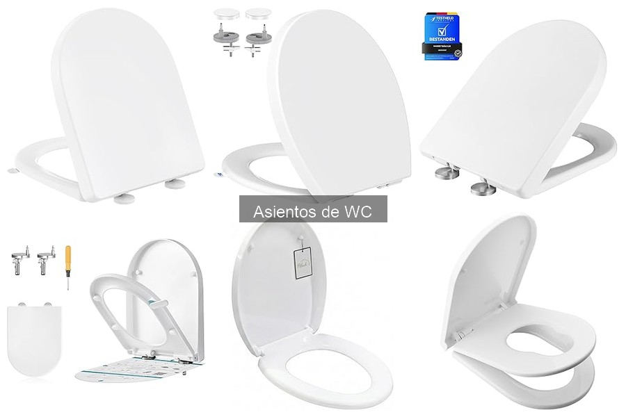 Mantenimiento de Asientos de WC: Consejos y Trucos Efectivos