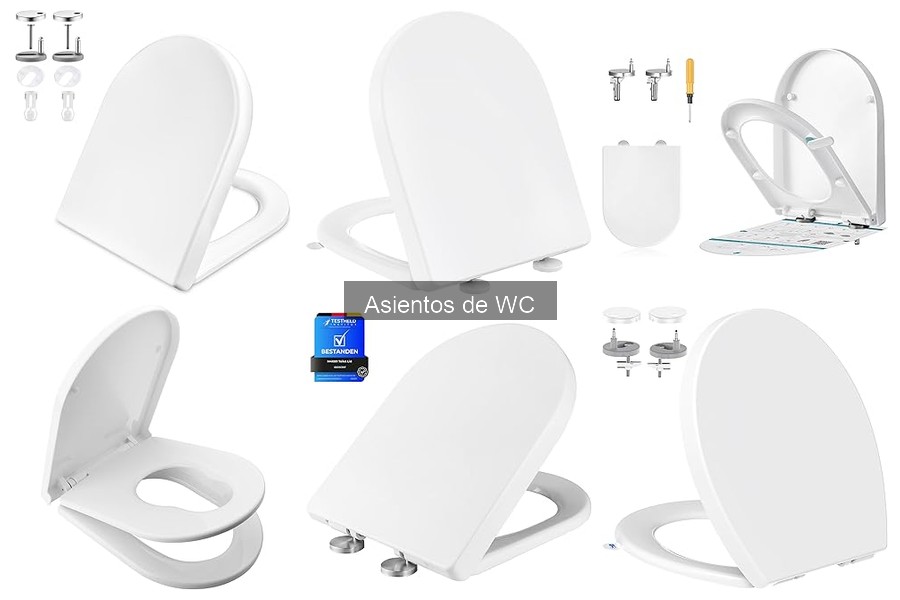 Mejores asientos de WC para personas mayores - Comodidad y seguridad