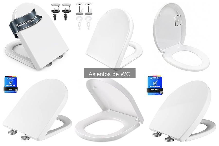 ¿Por qué mi asiento de WC se mueve? Soluciones prácticas