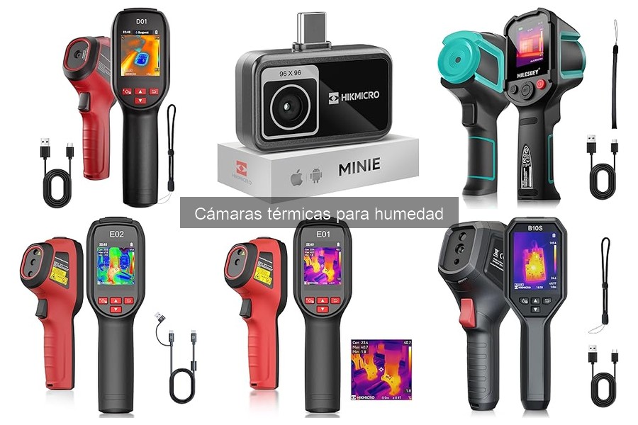 Precios y Dónde Comprar Cámaras Térmicas para Humedad