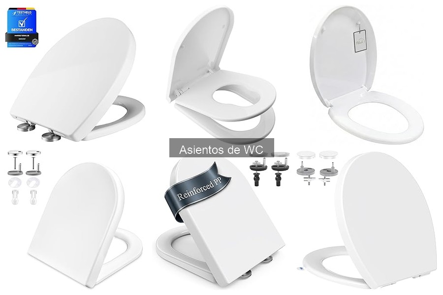 Problemas Comunes con Asientos de WC y Soluciones Prácticas