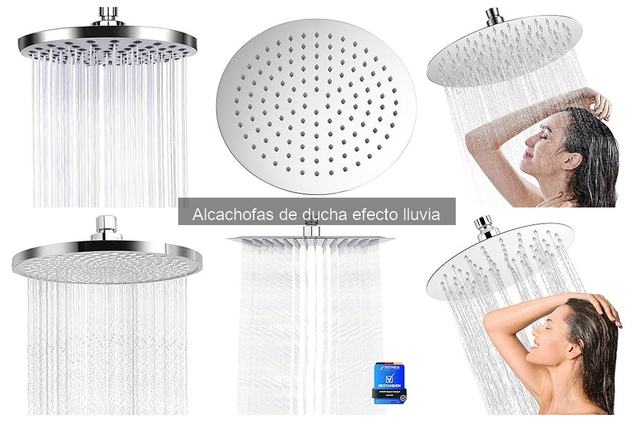 ¿Qué es una alcachofa de ducha efecto lluvia? Características