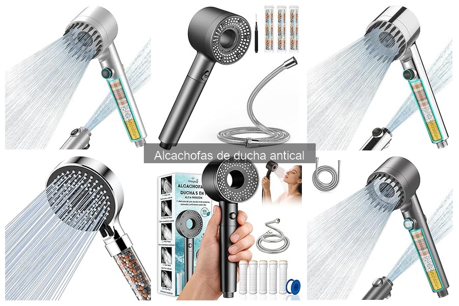 ¿Qué son las alcachofas de ducha antical? Características y Función