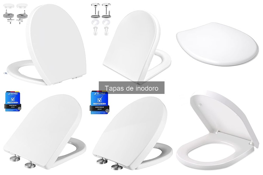 Tapas de inodoro con características especiales: calefacción y bidet