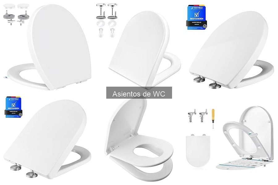 Tipos de Asientos de WC: Materiales y Características
