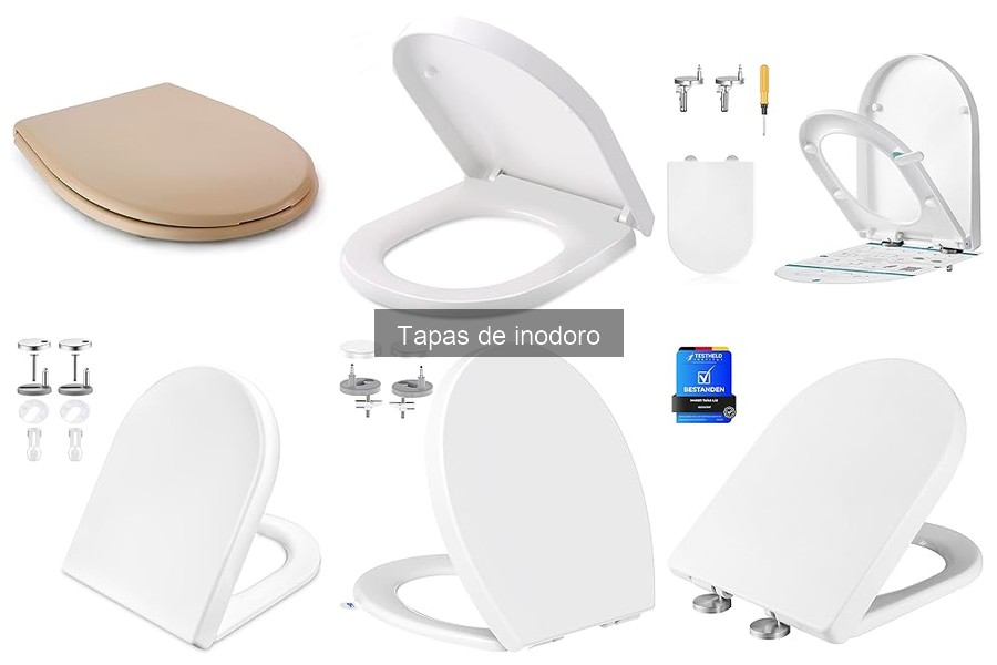 ** Ventajas y desventajas de las tapas de inodoro